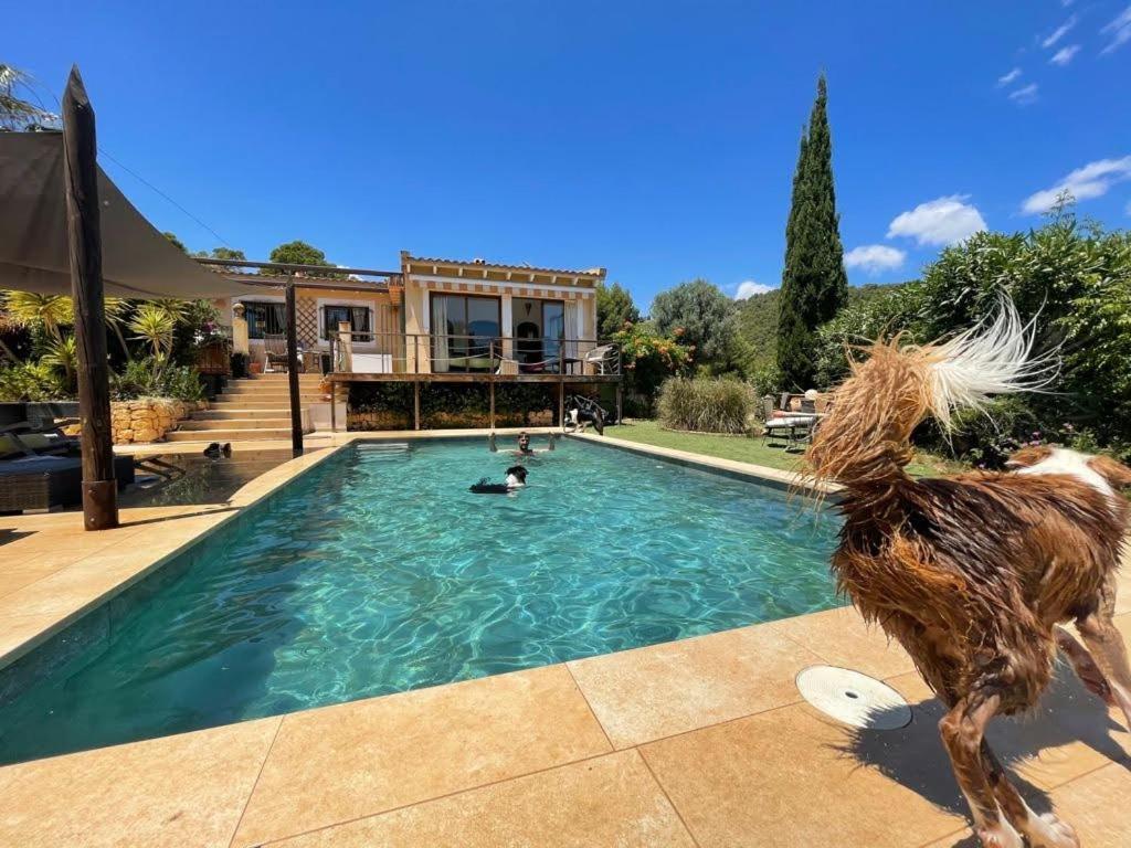 El Paraiso De Los Perros Polop Eksteriør bilde